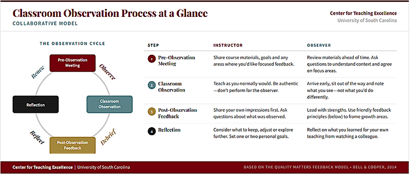 Classroom Observation Graphic