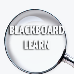 Blackboard Learn