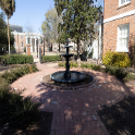 rose garden