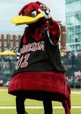Cocky waving