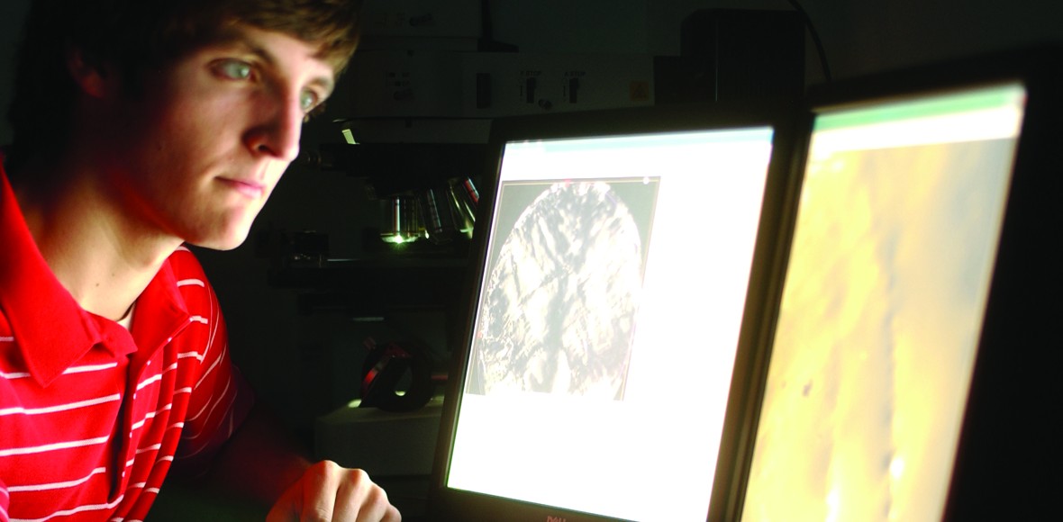 an undergraduate researcher looks at a computer screen