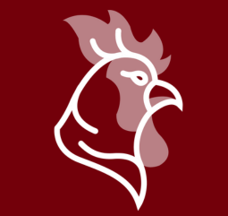 icon of gamecock
