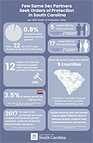Domestic Violence Study infographic