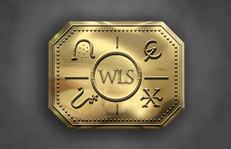 WLS logo