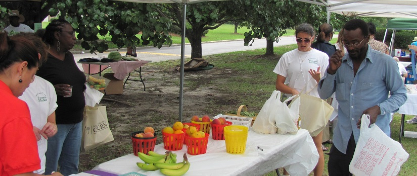 People standing outside around a table with fruits