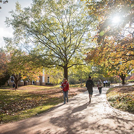 UofSC campus in the autumn sunshine